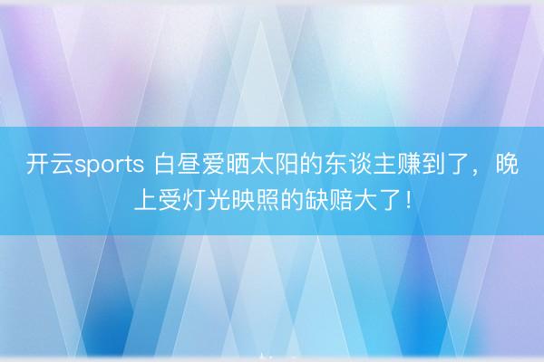 开云sports 白昼爱晒太阳的东谈主赚到了，晚上受灯光映照的缺赔大了！