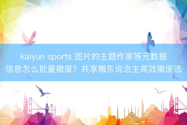 kaiyun sports 图片的主题作家等元数据信息怎么批量撤废？共享懒东说念主高效撤废法